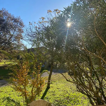 Les Tournesols, Dans Les Landes Holiday home Goos