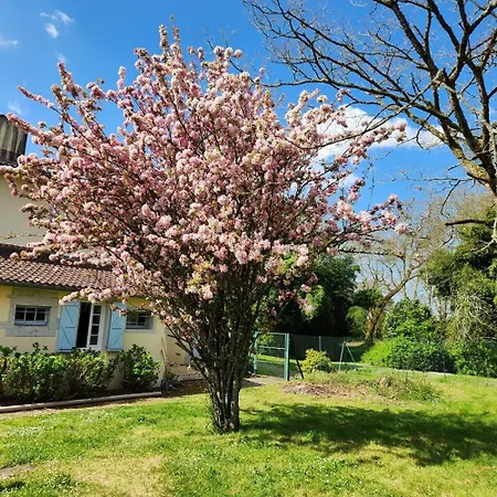 Les Tournesols, Dans Les Landes Holiday home