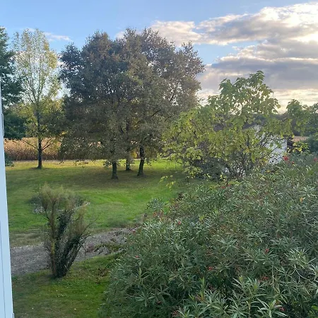 Les Tournesols, Dans Les Landes *